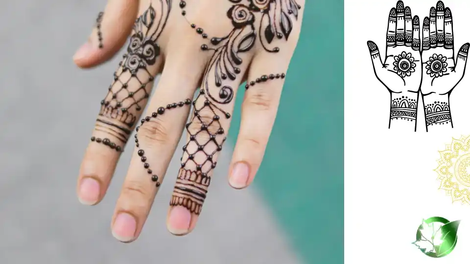 Black Henna quality, format, and packaging should be matched to the buyer’s target application.